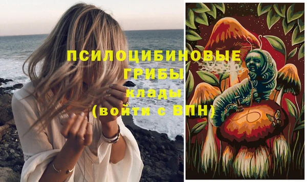 прущие крисы Покачи