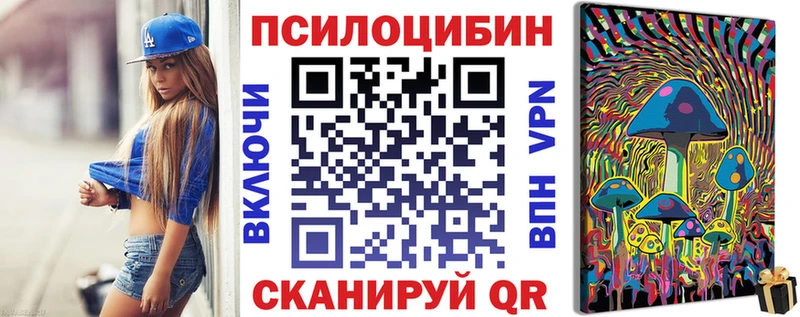 мега онион  Туринск  Псилоцибиновые грибы Psilocybine cubensis  купить наркотики цена 