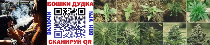 Бошки Шишки SATIVA & INDICA  Туринск 